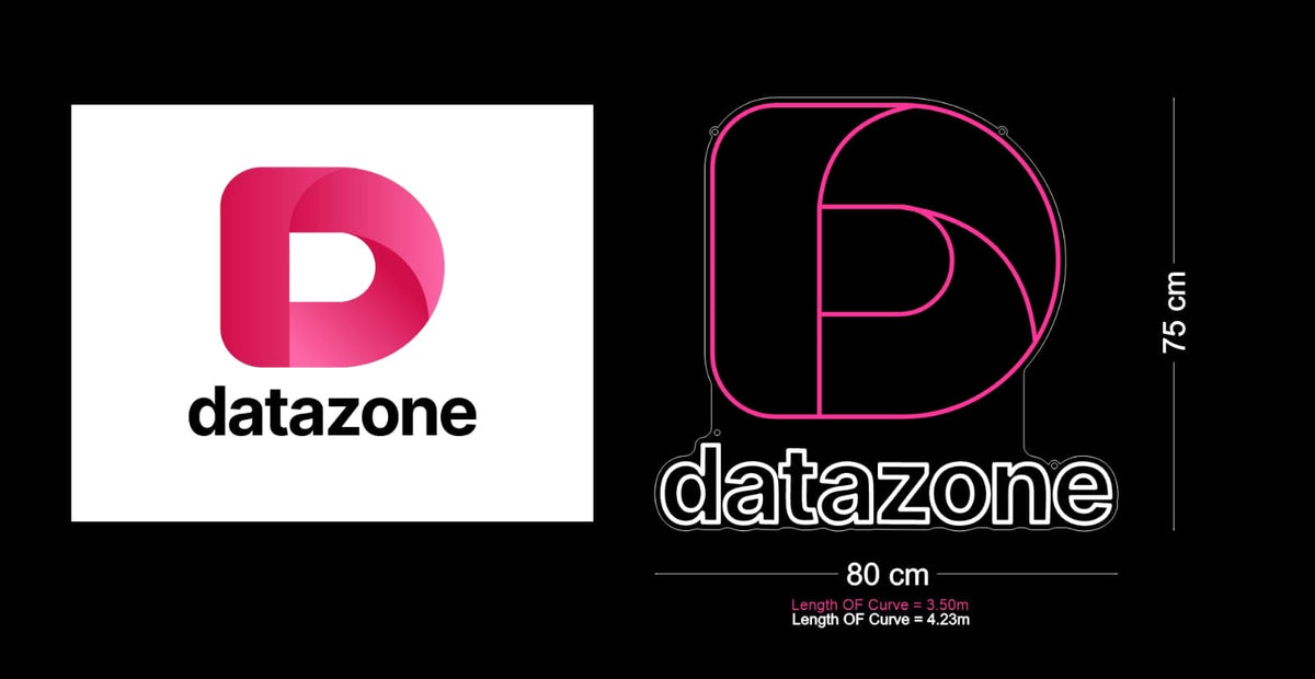 Custom Neon Sign For Datazone