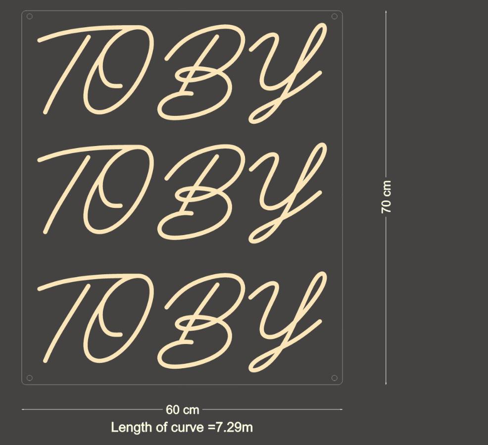 Custom Neon: TOBY
TOBY
T...