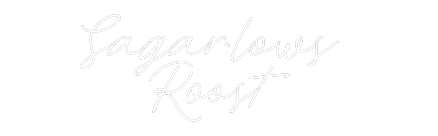 Custom Neon: Sagarlows 
R...