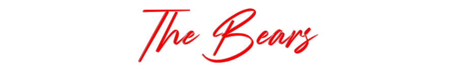 Custom Neon: The Bears