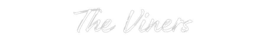 Custom Neon: The Viners