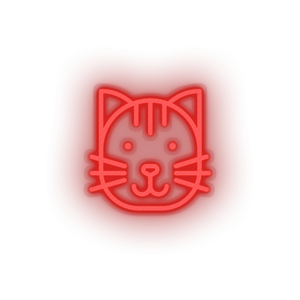 Cat Animal carnivore cartoon cat house pet pet zoo Neon led factory