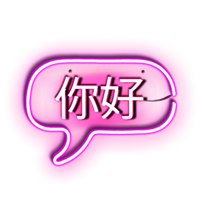 ni hao neon led sign