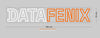 Custom Sign: DATAFENIX