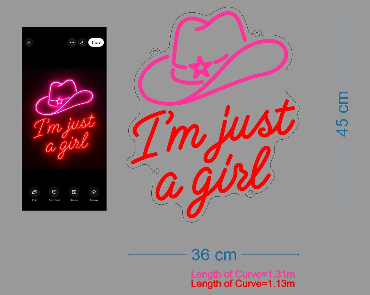 Custom Sign: I’m just a girl