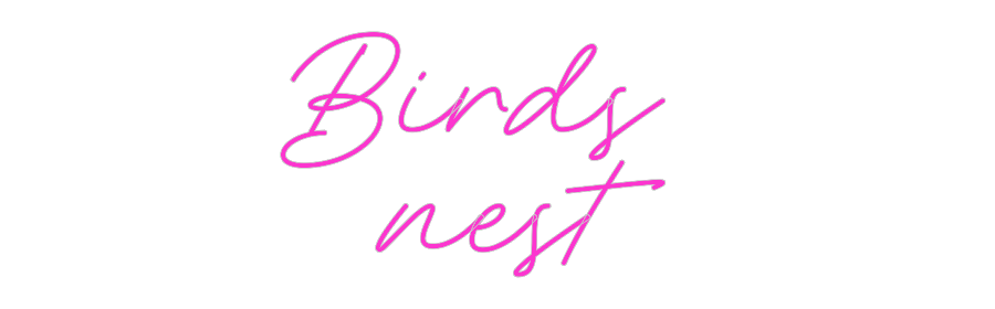 Custom Neon: Birds 
nest