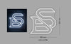 Custom Neon Sign: BS neon sign