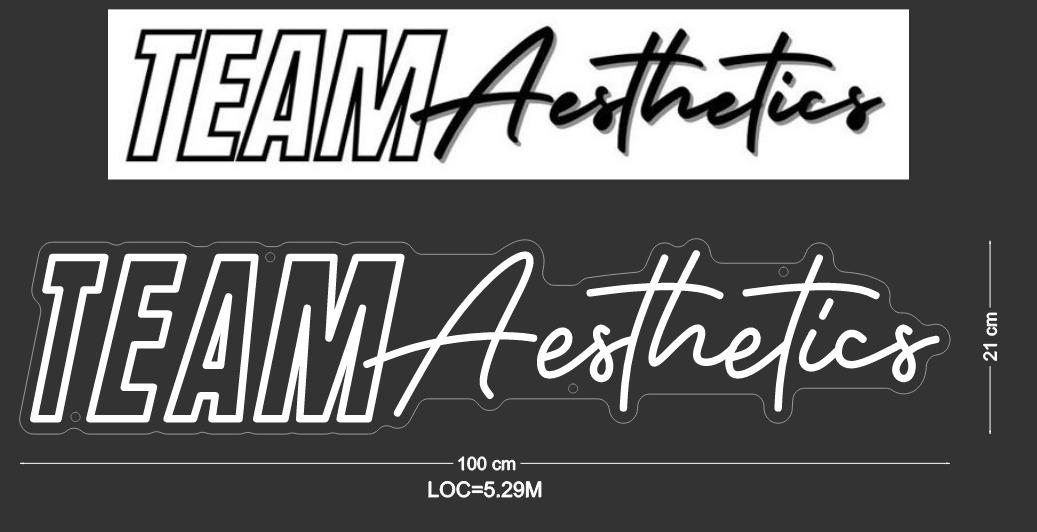 Custom Sign: TEAM Aesthetics