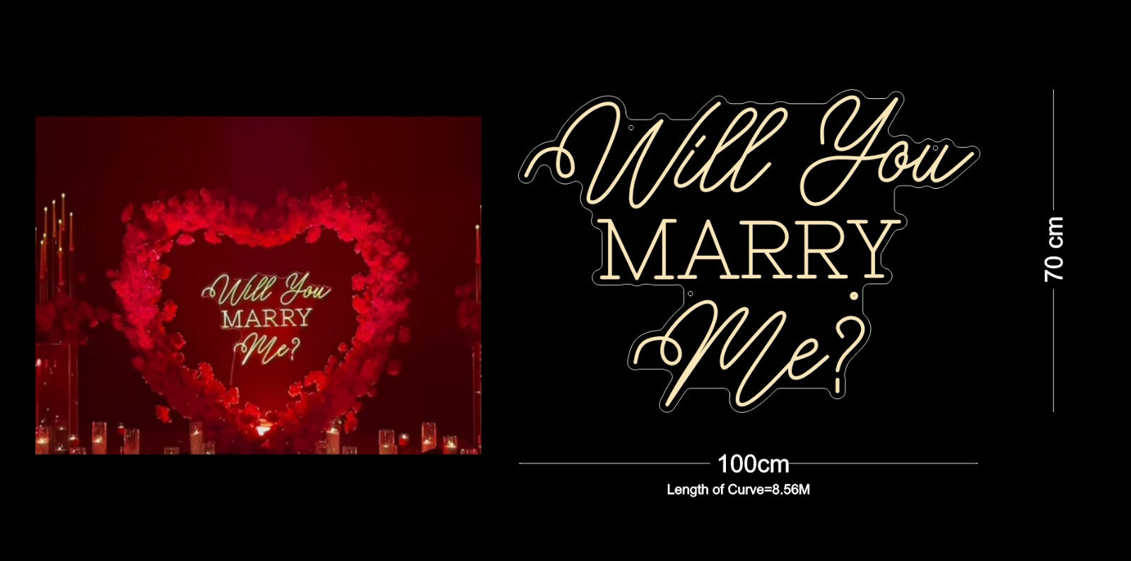 Custom Sign: Will you Marry Me?