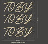 Custom Neon: TOBY
TOBY
T...