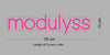 Custom Neon Sign Modulyss