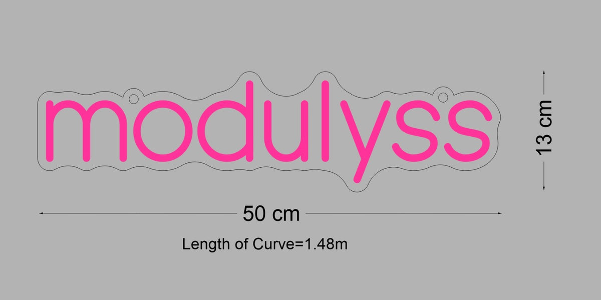 Custom Neon Sign Modulyss