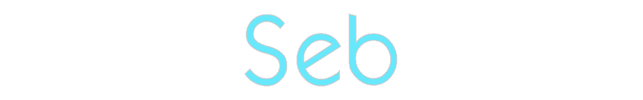 Custom Neon: Seb