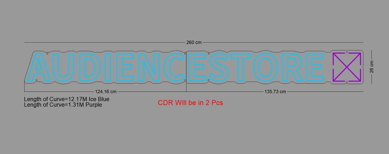Custom Sign: AUDIENCESTORE