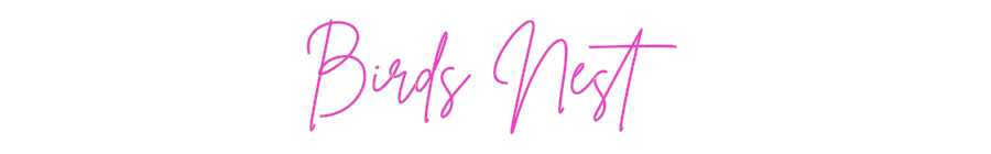 Custom Neon: Birds Nest
