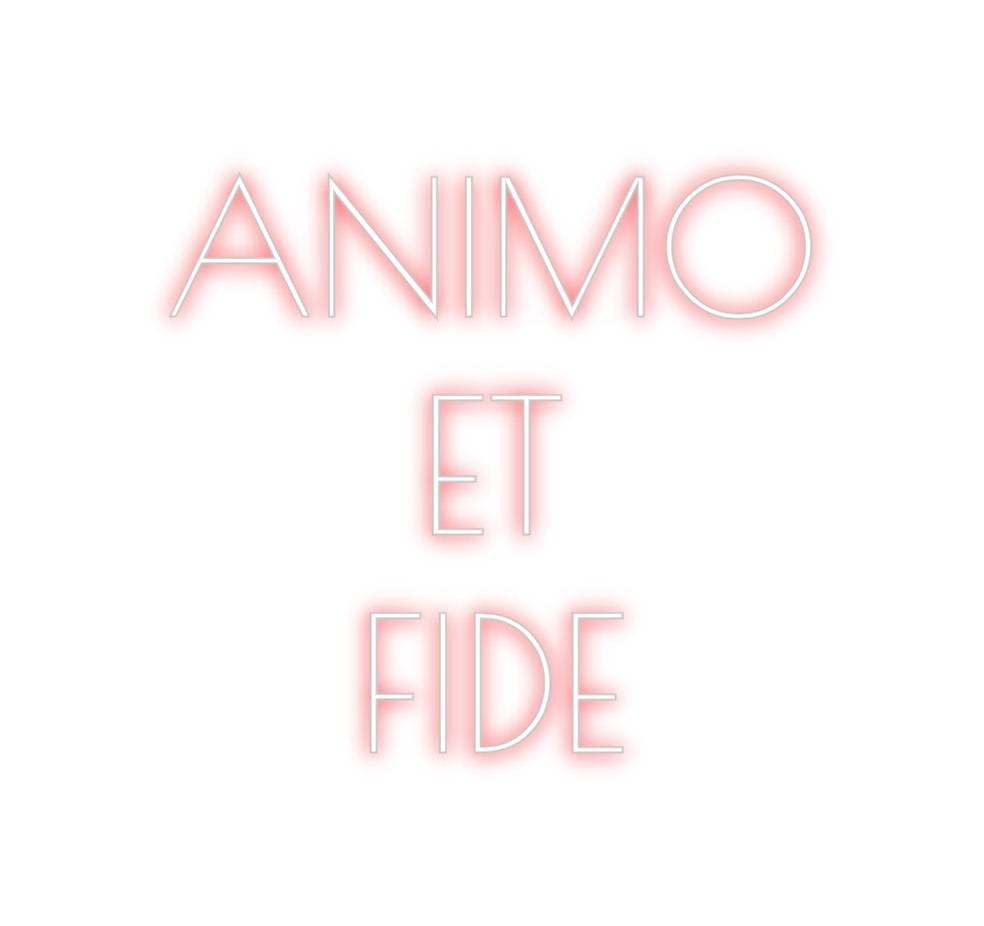 Custom Neon: ANIMO
ET
FIDE