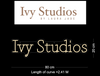 Custom Neon: Ivy Studios