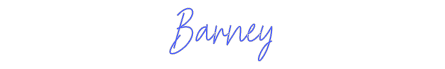 Custom Neon: Barney