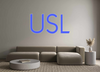 Custom Neon: USL