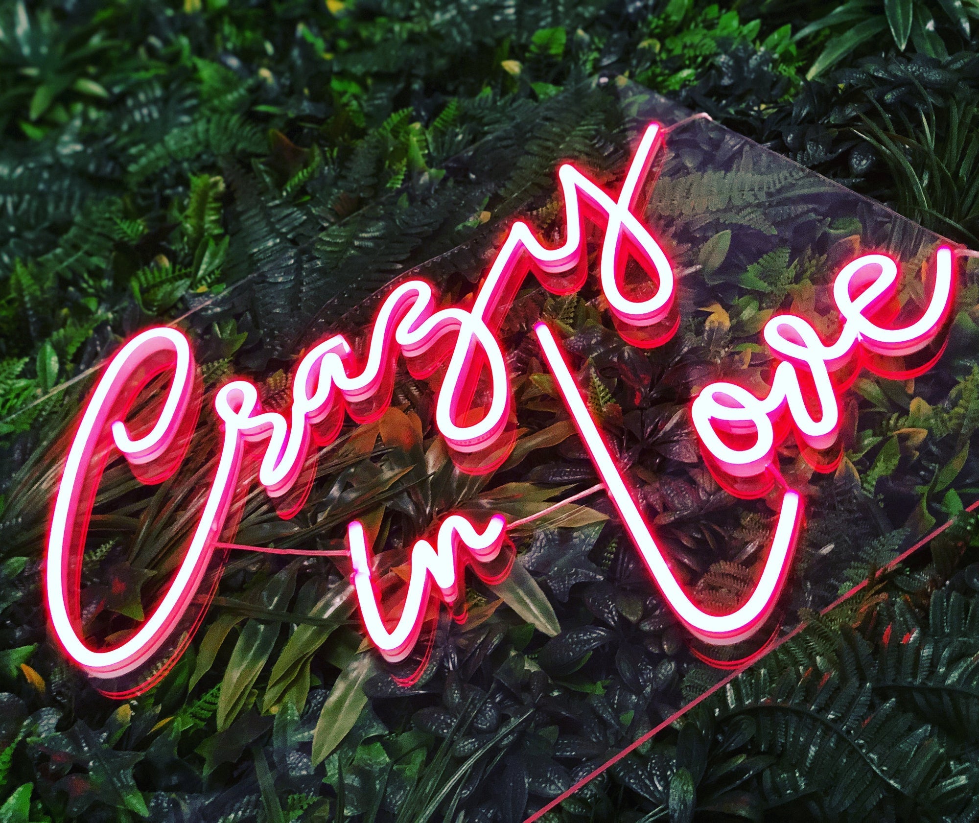 Crazy in Love red neon sign for a wedding, party or event