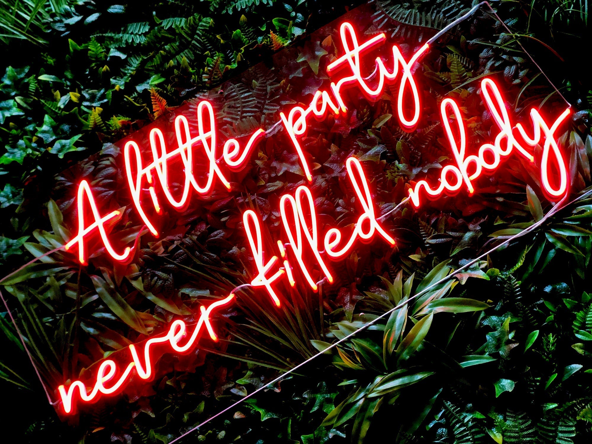 A little party never killed nobody, red neon sign for a wedding, party or event (EXCLUSIVE)